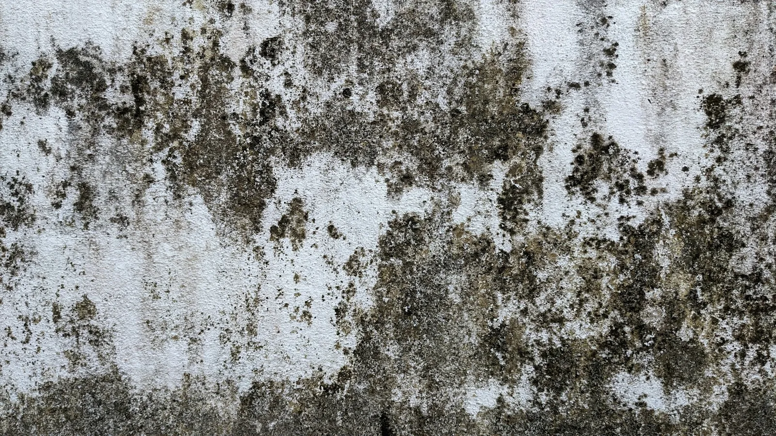 Mur taché par l’humidité